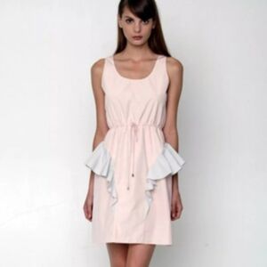 Behnaz Sarafpour summer mini dress